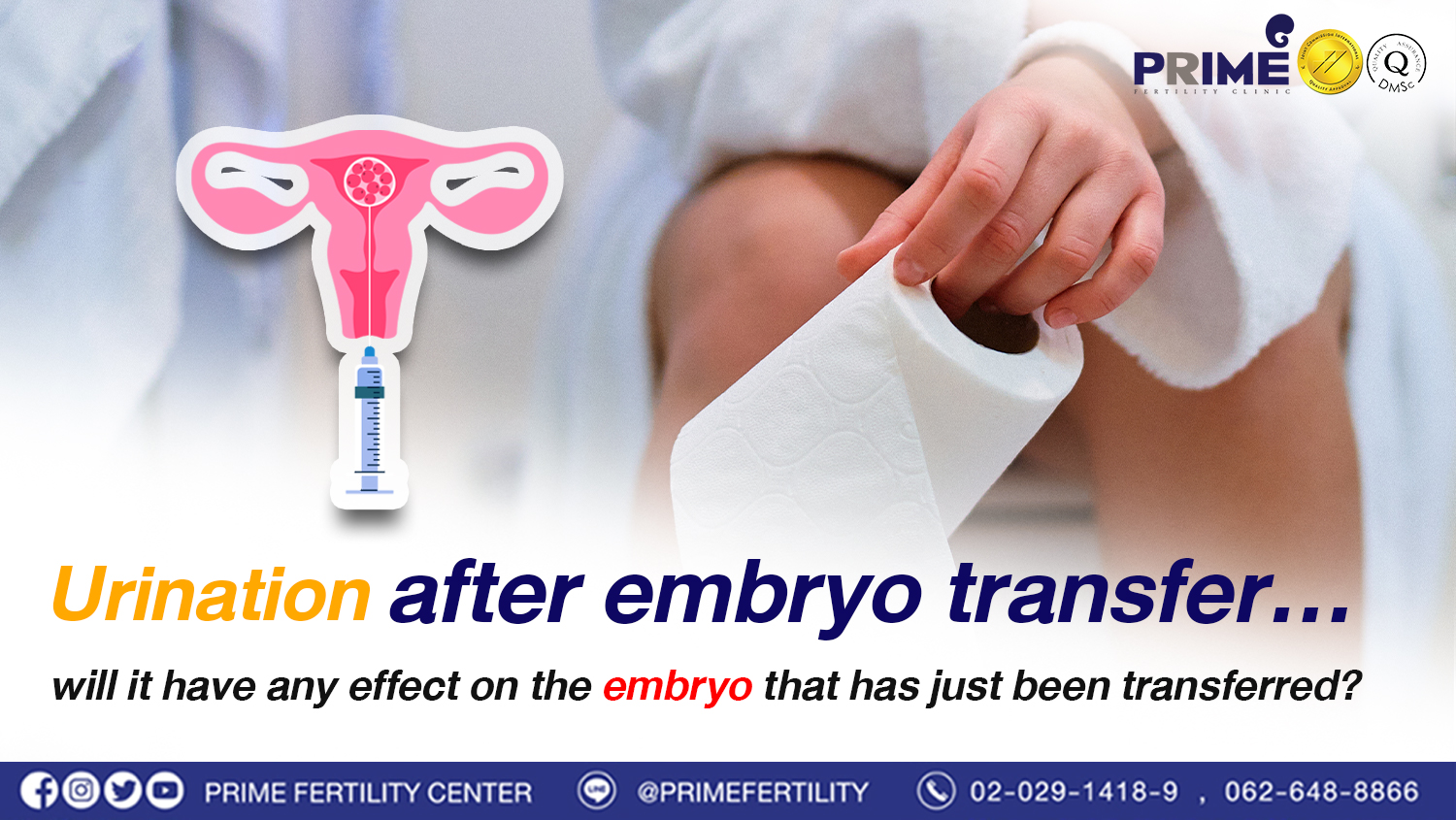 Urination after embryo transfer... will it have any effect on the embryo that has just been transferred?