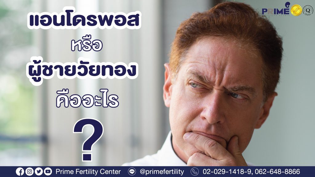 ผู้ชายวัยทองคืออะไร web 01