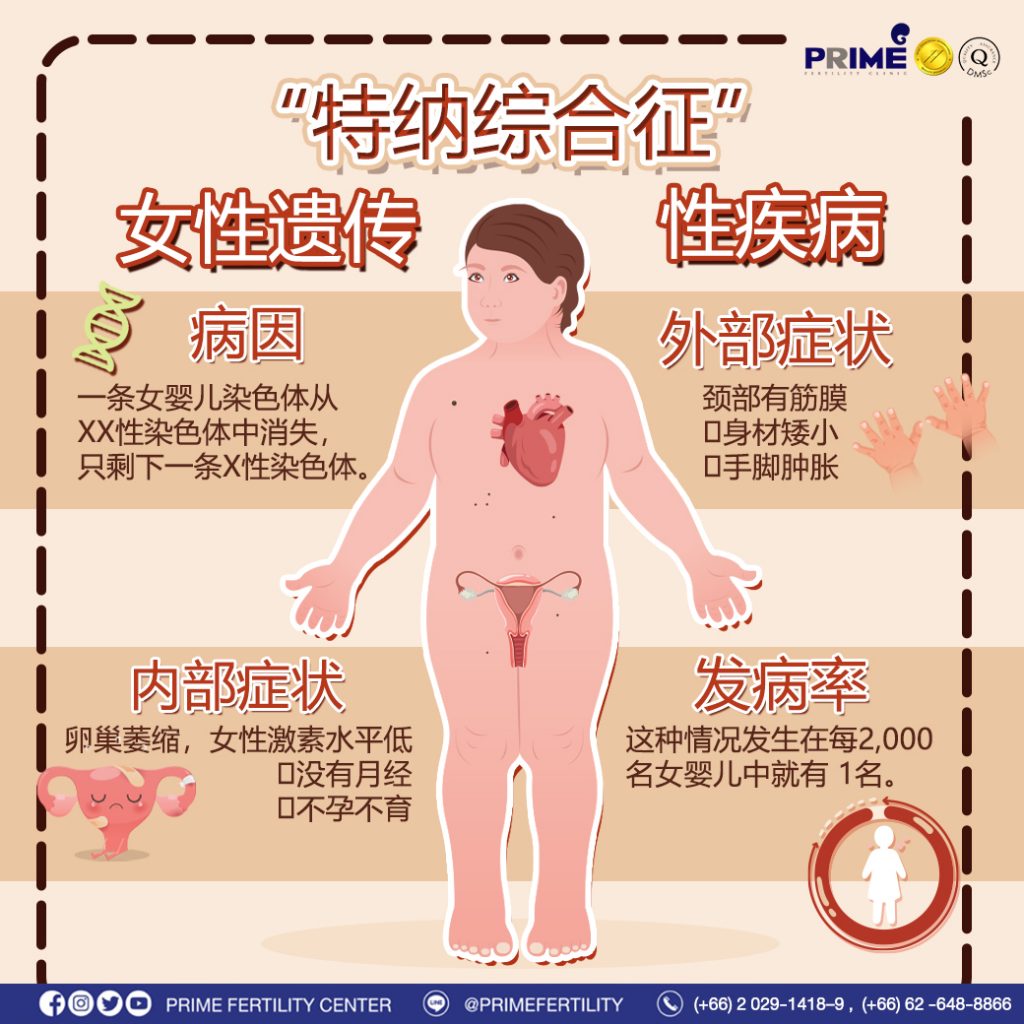 图片 20240112112852