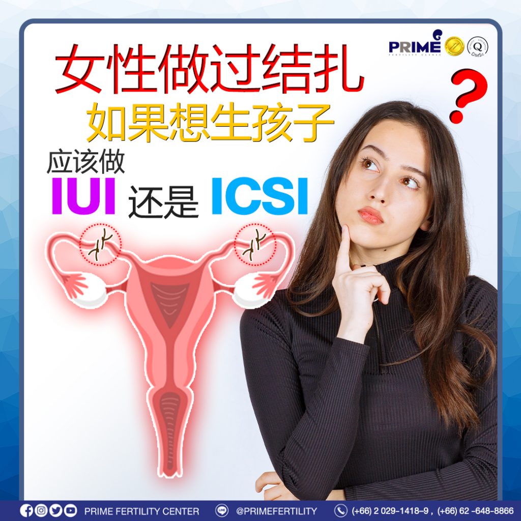 图片 20240112113008