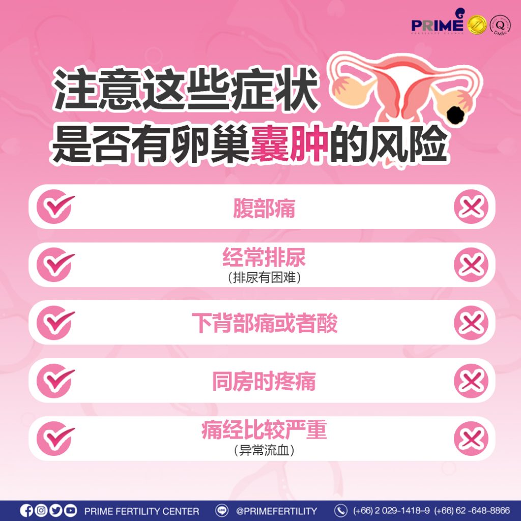 图片 20240212194635