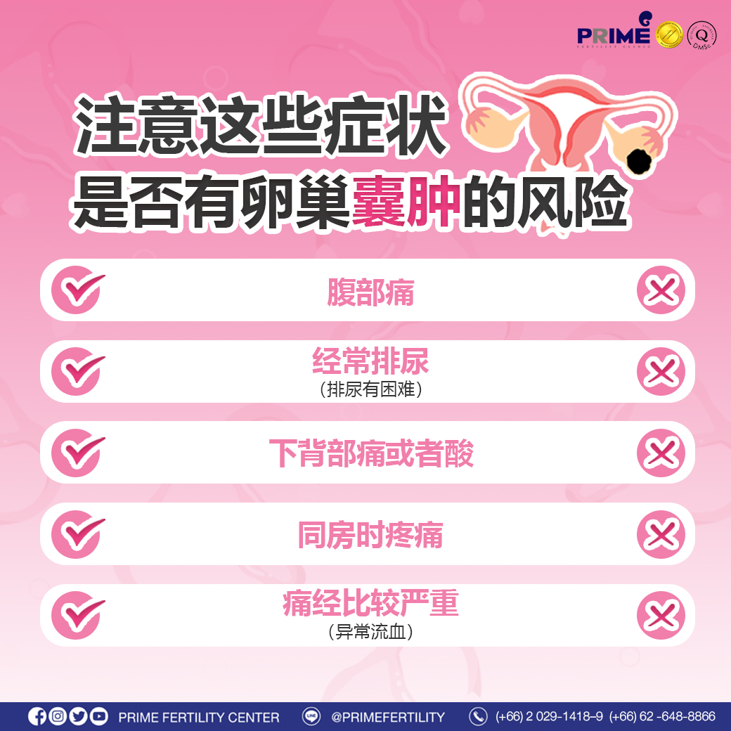 图片 20240212194635