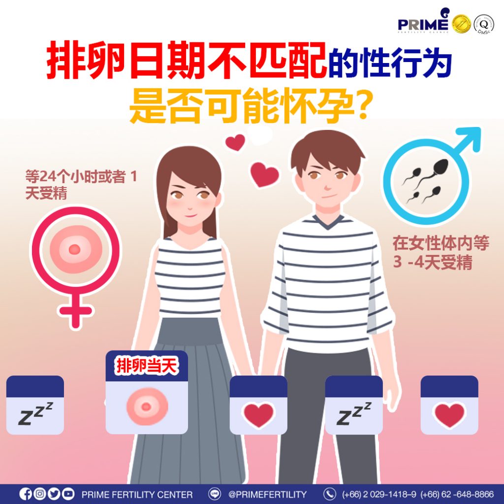 图片 20240212194719