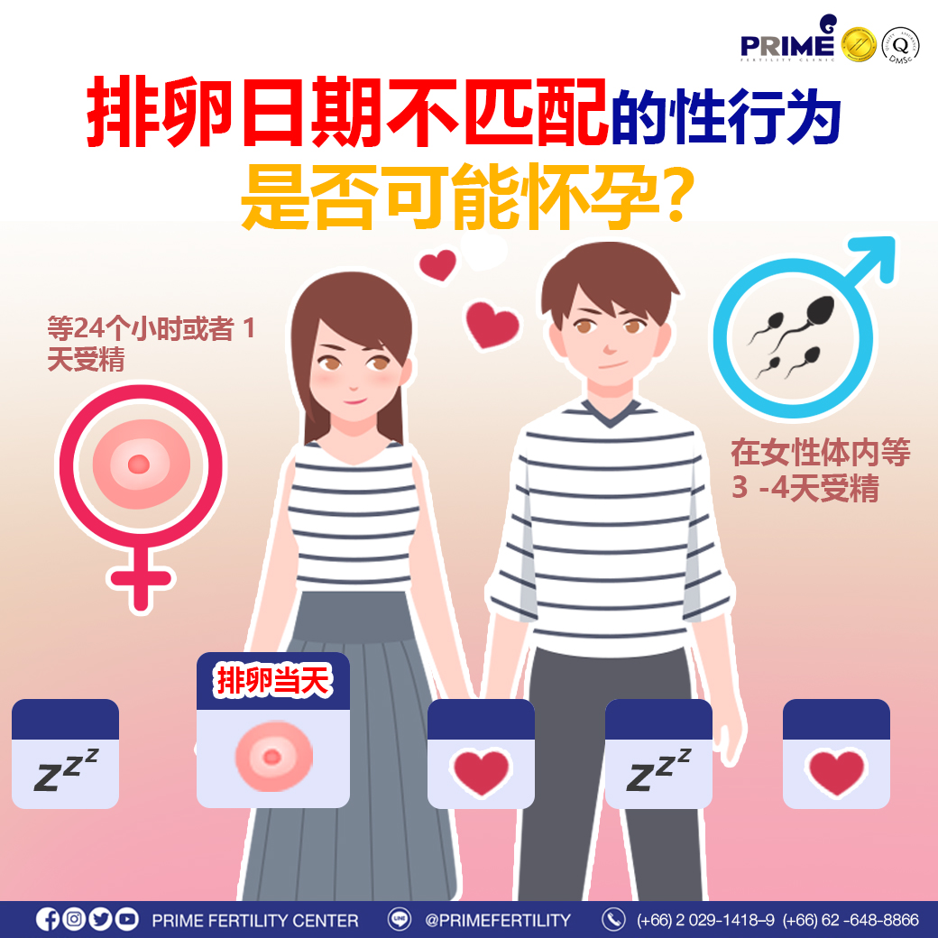 图片 20240212194719