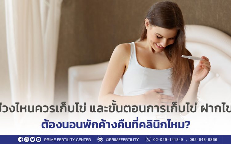 วางแผนฝากไข่