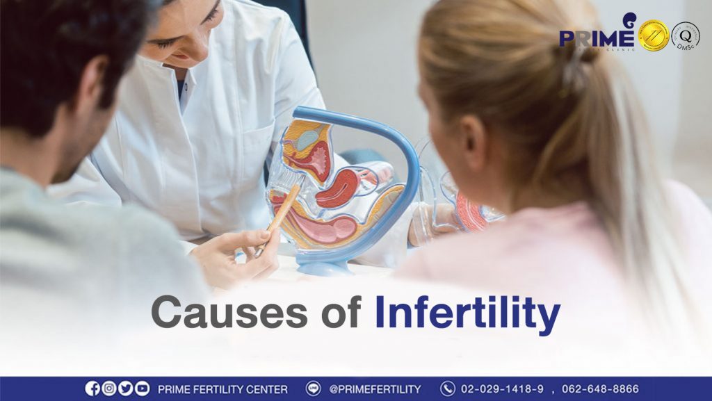 Causes of Infertility - ปัจจัยที่ทำให้เกิด ภาวะมีบุตรยาก ปัจจัยที่ทำให้เกิด ภาวะมีบุตรยาก