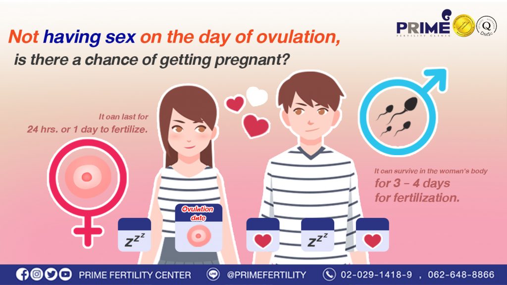 Not having sex on the day of ovulation, is there a chance of getting pregnant? - มีเพศสัมพันธ์ไม่ตรงกับวันไข่ตก จะมีโอกาสท้องได้หรือไม่ web มีเพศสัมพันธ์ไม่ตรงกับวันไข่ตก จะมีโอกาสท้องได้หรือไม่ web