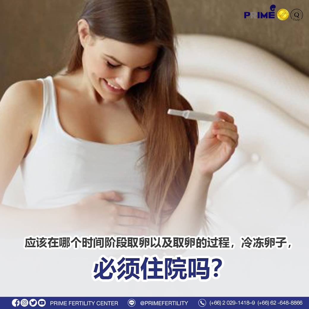 图片 20240212194540