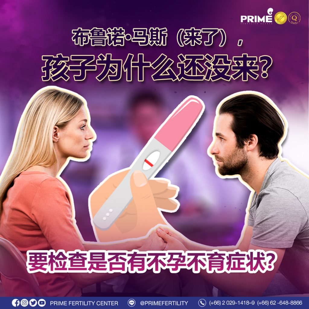 图片 20240212194553