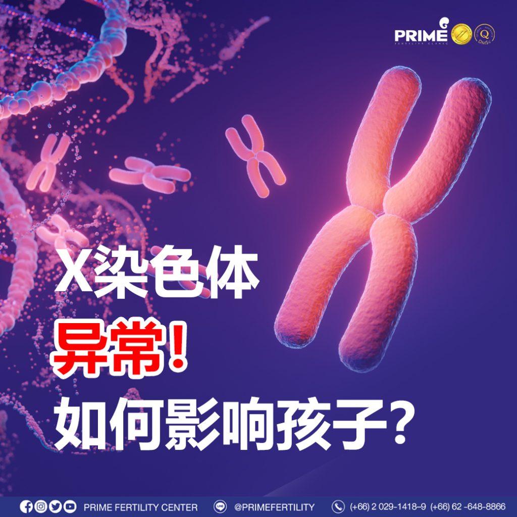 图片 20240212194559