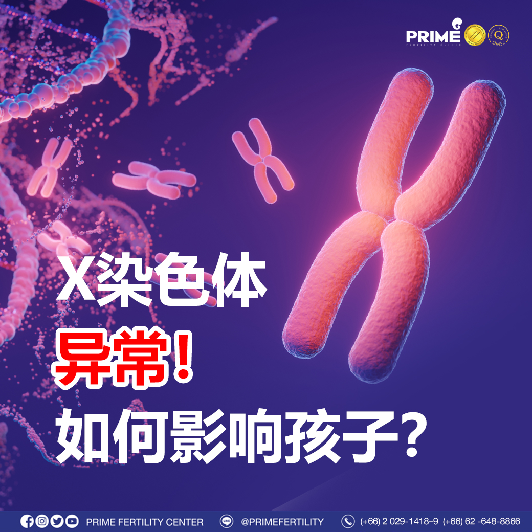 图片 20240212194559