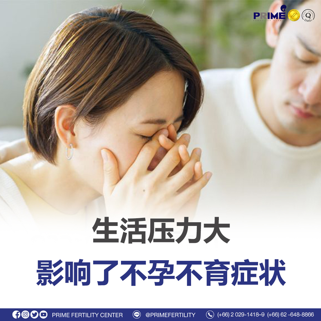 图片 20240212194605