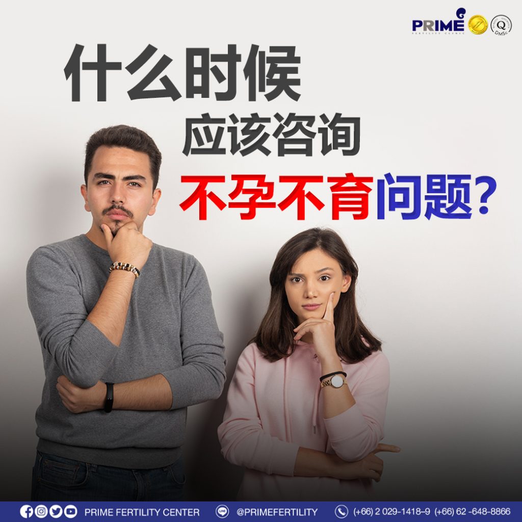 图片 20240212194641