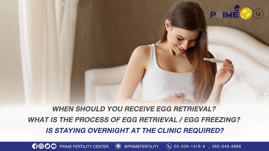 When should you receive egg retrieval? What is the process of egg retrieval / egg freezing? Is staying overnight at the clinic required? - ช่วงไหนควรเก็บไข่ และขั้นตอนการเก็บไข่ ฝากไข่ ช่วงไหนควรเก็บไข่ และขั้นตอนการเก็บไข่ ฝากไข่