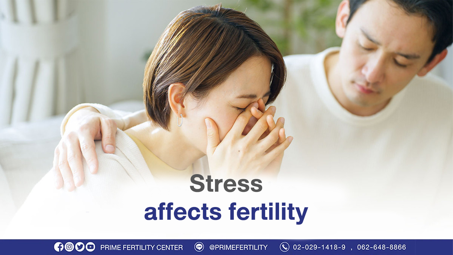 Stress affects fertility

