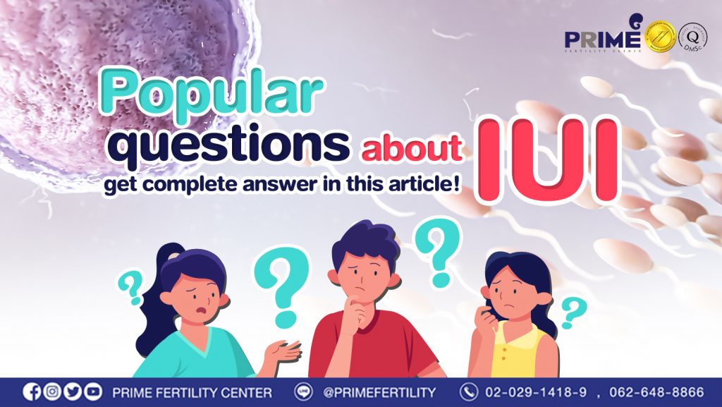 2. รวมคำถามยอดฮิตเกี่ยวกับการทำ IUI จบ ครบ ในบทความเดียว