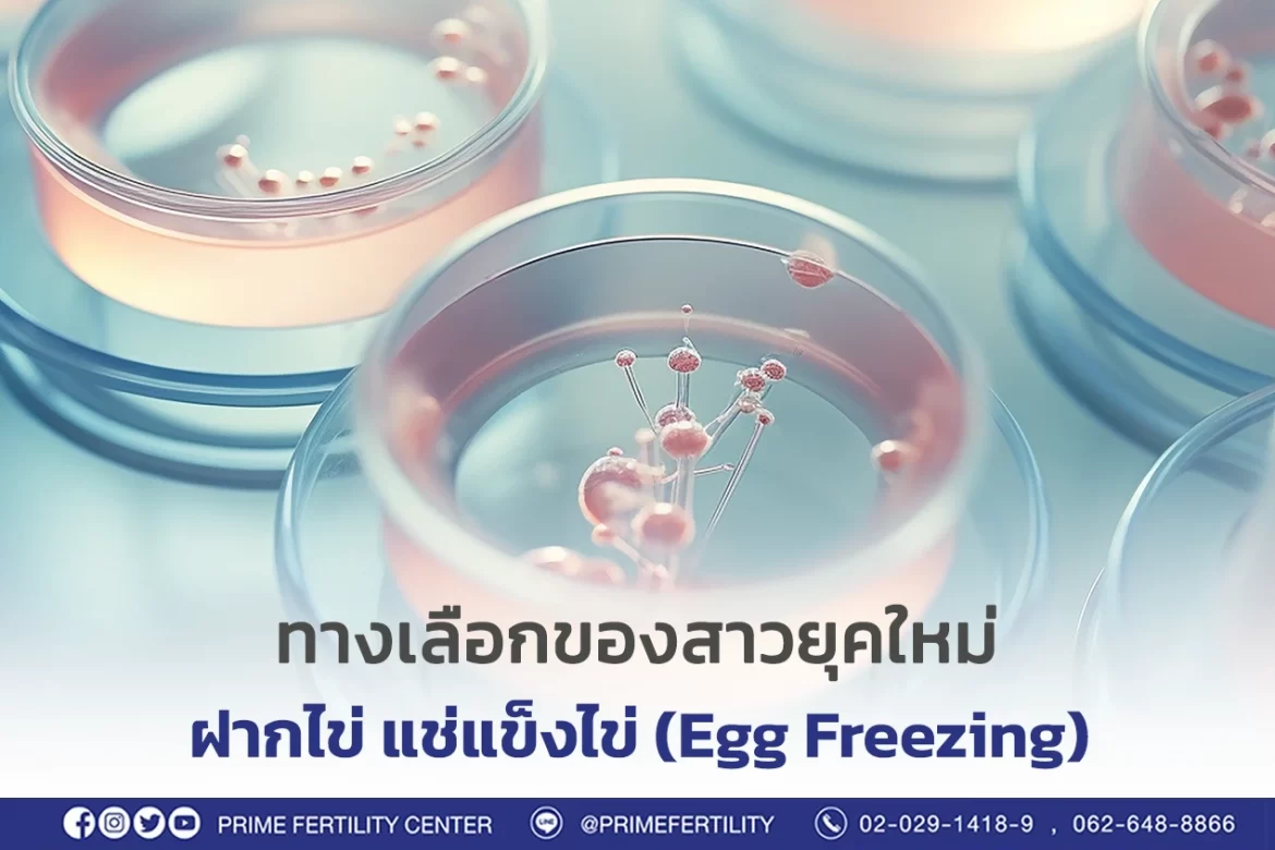 ทางเลือกของสาวยุคใหม่ ฝากไข่ แช่แข็งไข่ (Egg Freezing)