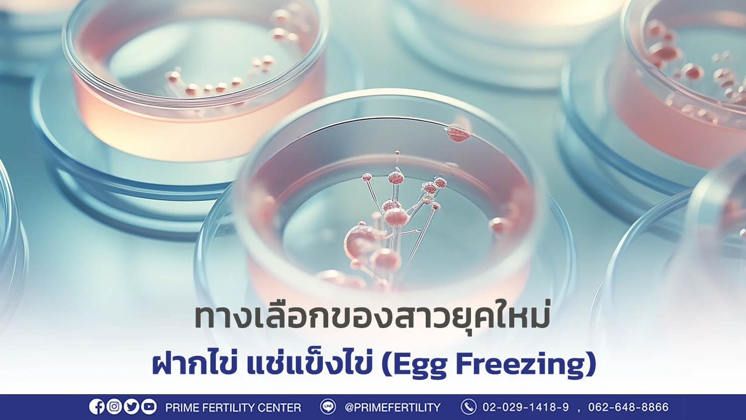 ทางเลือกของสาวยุคใหม่ ฝากไข่ แช่แข็งไข่ (Egg Freezing)