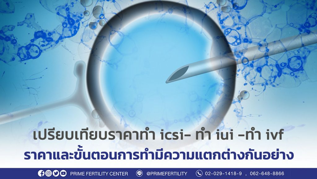 เปรียบเทียบราคาการทำ icsi ราคาของการทำ iui ราคาของการทำ ivf ราคาและขั้นตอนการทำมีความแตกต่างกันอย่าง