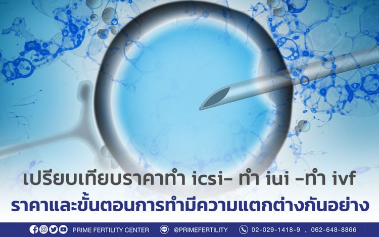 เปรียบเทียบราคาการทำ icsi ราคาของการทำ iui ราคาของการทำ ivf ราคาและขั้นตอนการทำมีความแตกต่างกันอย่าง