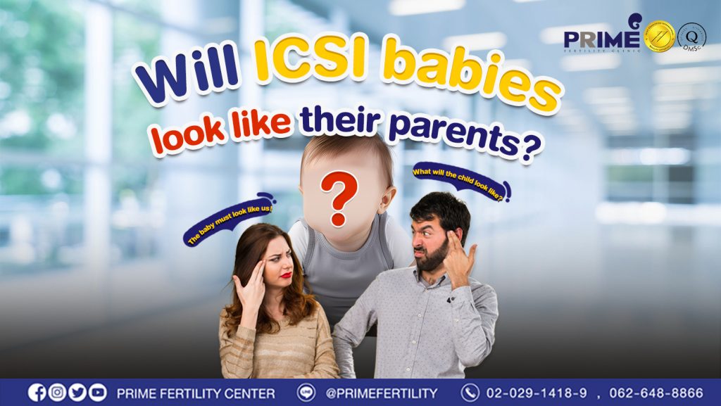 Will ICSI babies look like their parents? - ทำเด็กหลอดแก้ว ลูกจะหน้าตาเหมือนเราไหม web ทำเด็กหลอดแก้ว ลูกจะหน้าตาเหมือนเราไหม web