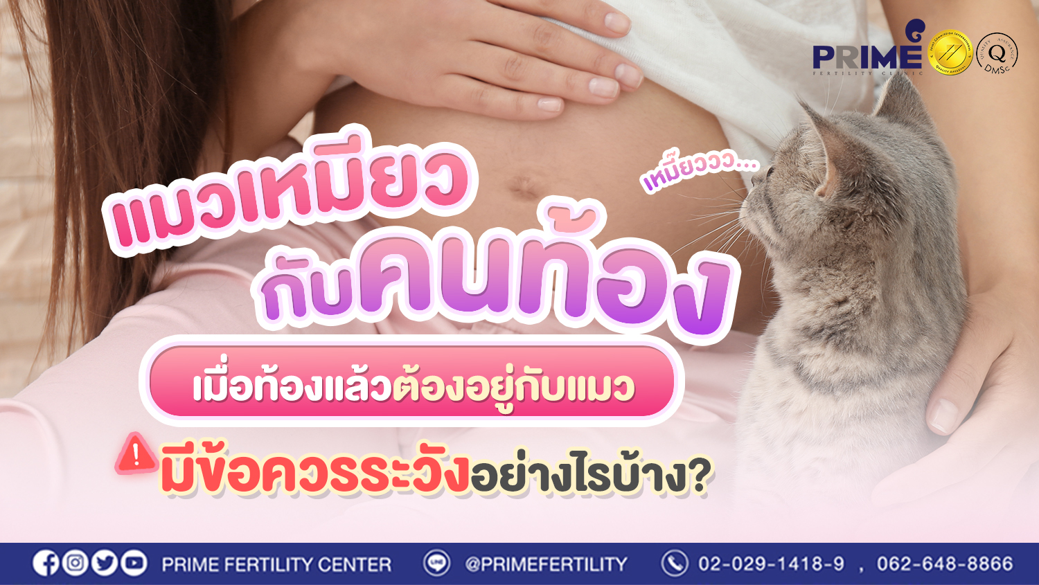 แมวเหมียวกับคนท้อง แม่ๆ บ้านไหนเลี้ยงแมวต้องอ่าน!