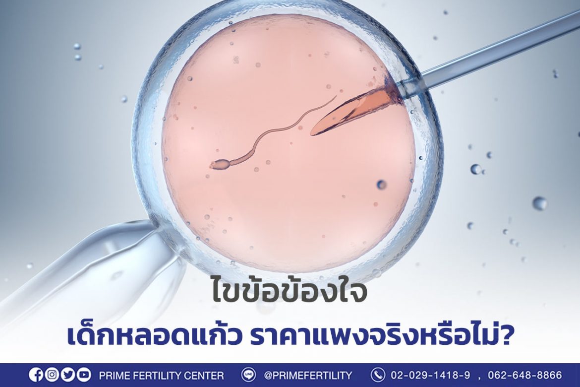 เด็กหลอดแก้ว ราคาแพงจริงหรือไม่