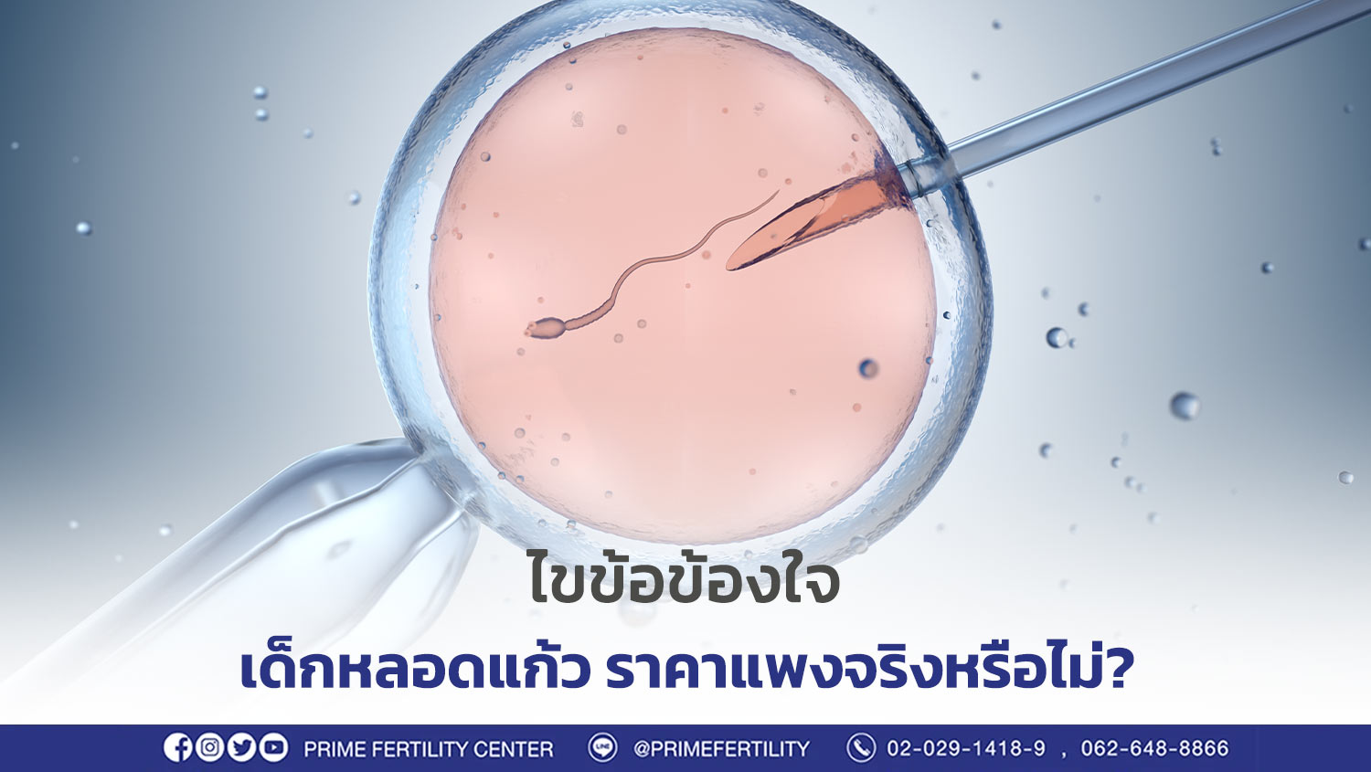 ทางเลือกของสาวยุคใหม่ ฝากไข่ แช่แข็งไข่ (Egg Freezing)