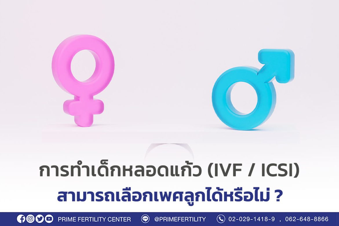 การทำเด็กหลอดแก้ว