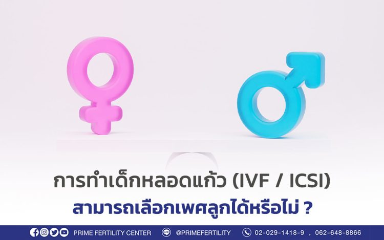 การทำเด็กหลอดแก้ว