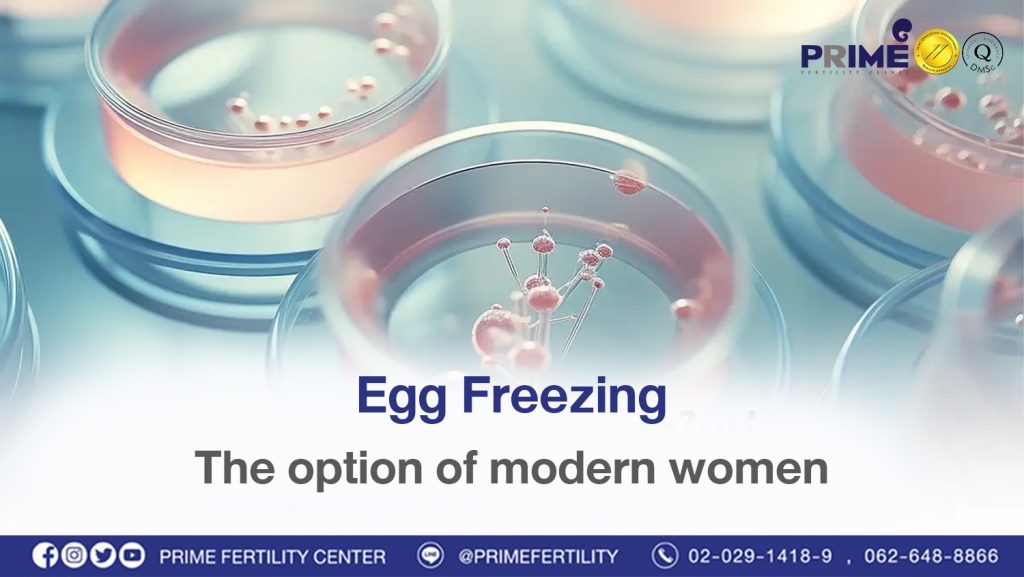 Egg Freezing, the option of modern women - ทางเลือกของสาวยุคใหม่ ฝากไข่ แช่แข็งไข่ Egg Freezing ทางเลือกของสาวยุคใหม่ ฝากไข่ แช่แข็งไข่ Egg Freezing