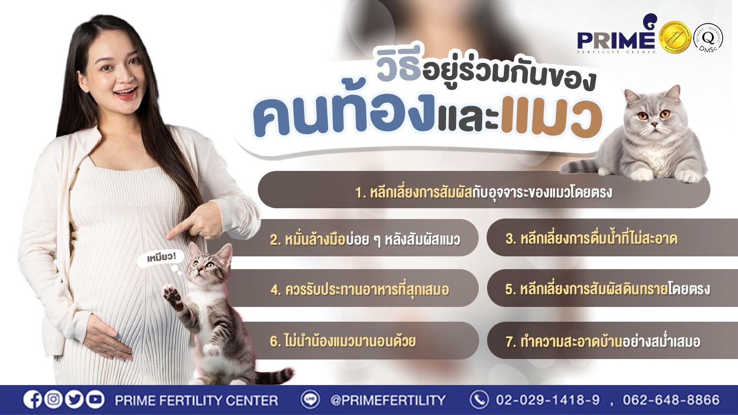 วิธีอยู่ร่วมกันของคนท้องแล้วแมว