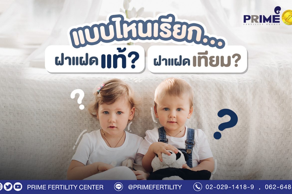 แบบไหนเรียก... ฝาแฝดแท้? ฝาแฝดเทียม?
