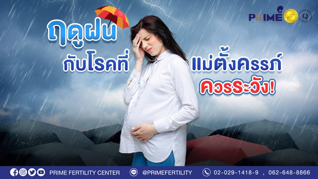 ปก web