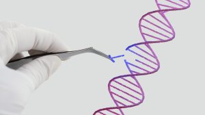 dna pgt