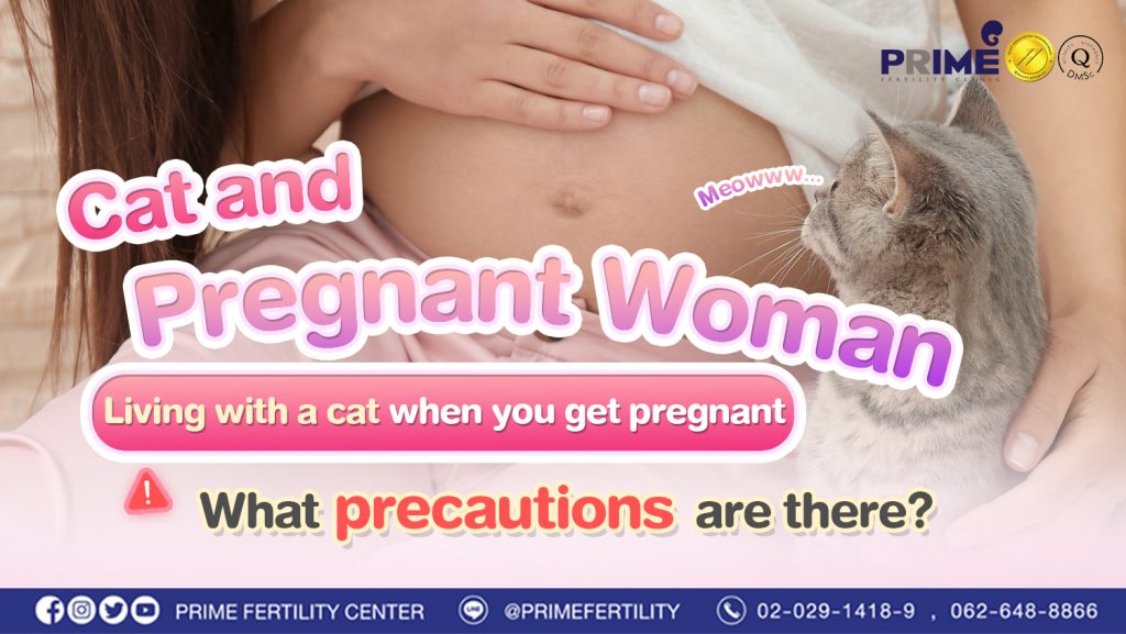 Cat and Pregnant Woman Must read this if you have cat! - แมวเหมียวกับคนท้อง แม่ๆ บ้านไหนเลี้ยงแมวต้องอ่าน แมวเหมียวกับคนท้อง แม่ๆ บ้านไหนเลี้ยงแมวต้องอ่าน