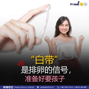 图片 20240726102442
