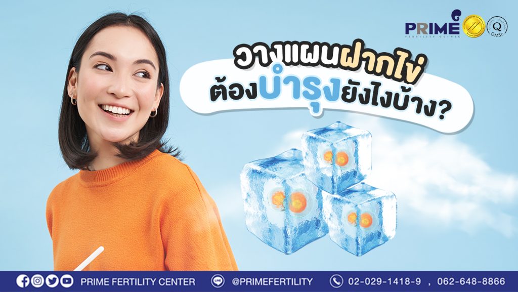 วางแผนจะฝากไข่ต้องบำรุงยังไงบ้าง web