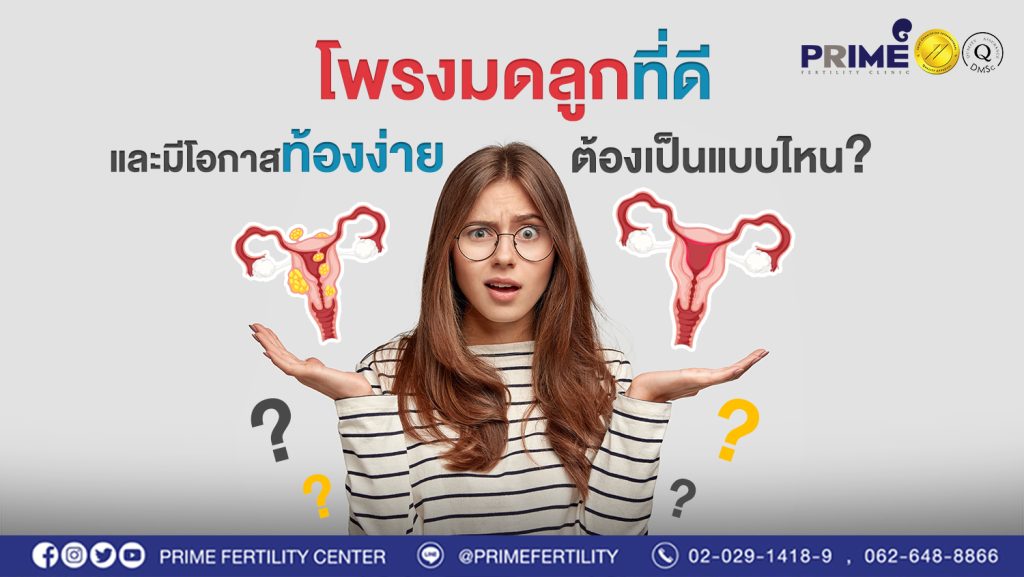 โพรงมดลูกสวย ไม่สวย web