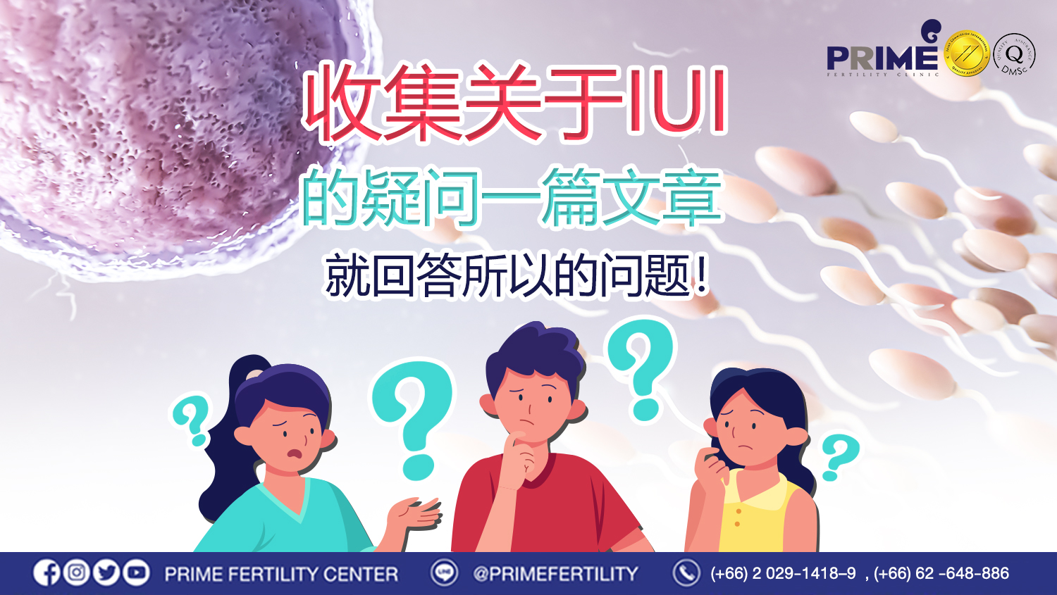 收集关于IUI 的问题一篇文章就回答全部的问题! - 图片 20240726102455 图片 20240726102455