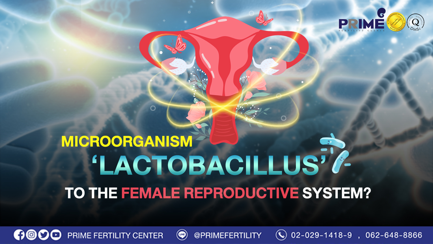 จุลินทรีย์ Lactobacillus web