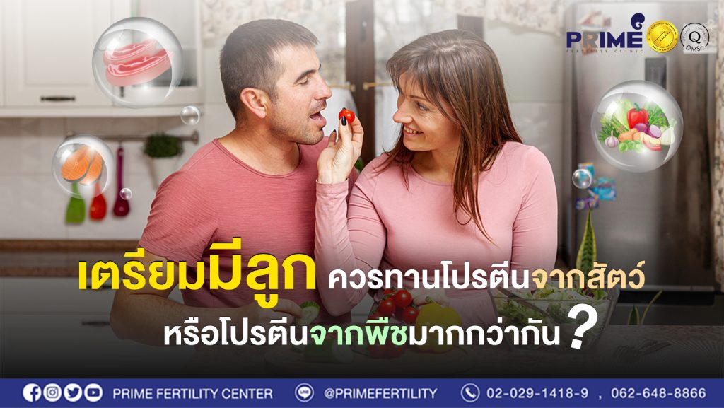 เตรียมมีลูกควรทานโปรตีน web