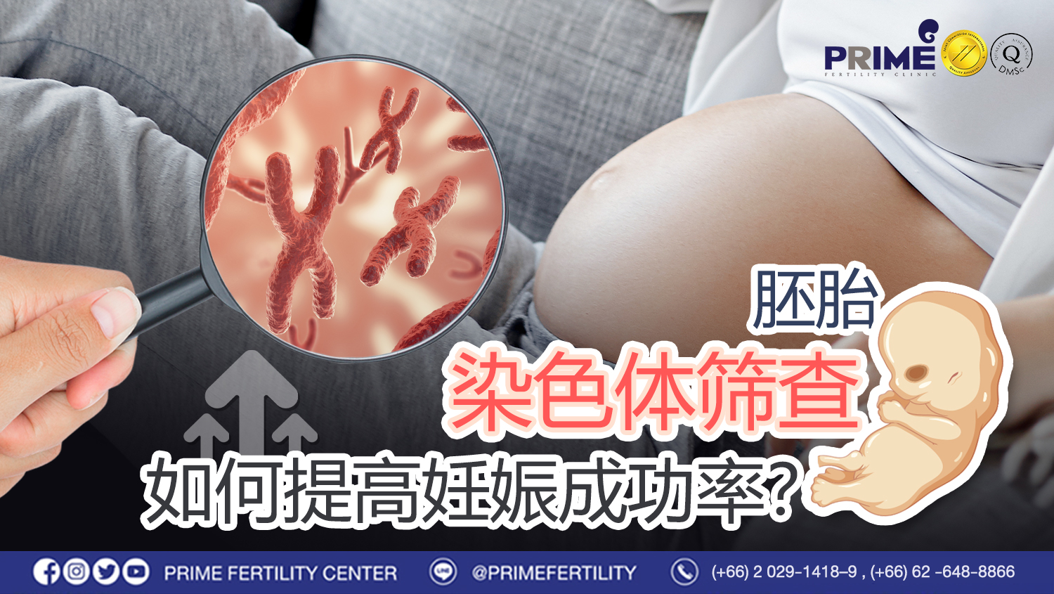 染色体筛查如何提高妊娠成功率? - 3. ตรวจคัดกรองโครโมโซมตัวอ่อน เพิ่มความสำเร็จในการตั้งครรภ์อย่างไร 3. ตรวจคัดกรองโครโมโซมตัวอ่อน เพิ่มความสำเร็จในการตั้งครรภ์อย่างไร
