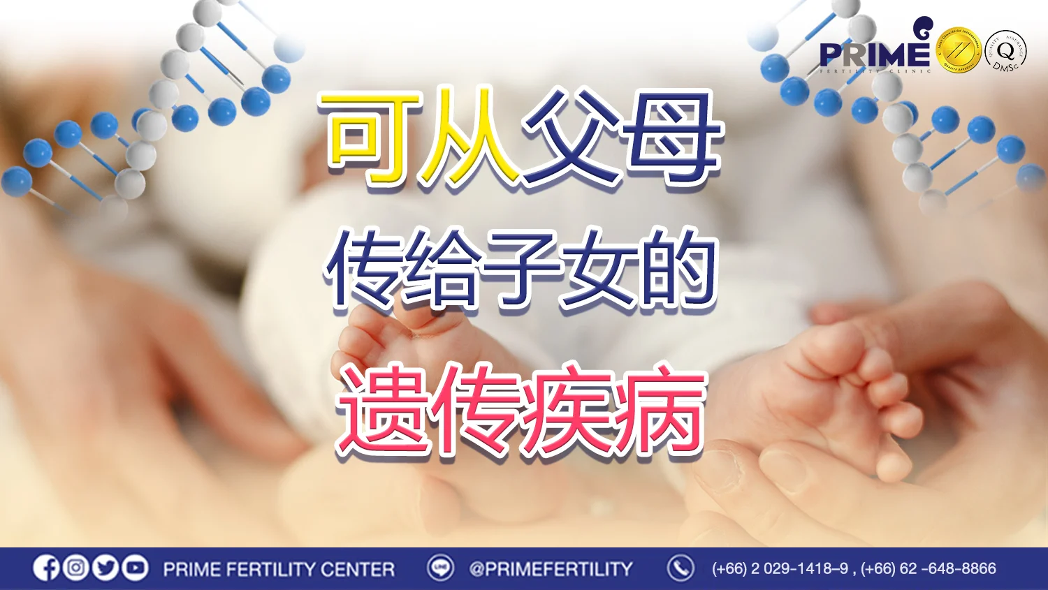 可从父母传给子女的遗传疾病 - ปก เวป ปก เวป