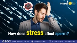 คอนเทนต์แลป 1. ความเครียดมีผลต่ออสุจิอย่างไร web