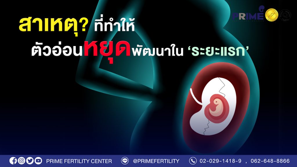 สาเหตุที่ทำให้ตัวอ่อนหยุดพัฒนาในระยะแรกweb 1