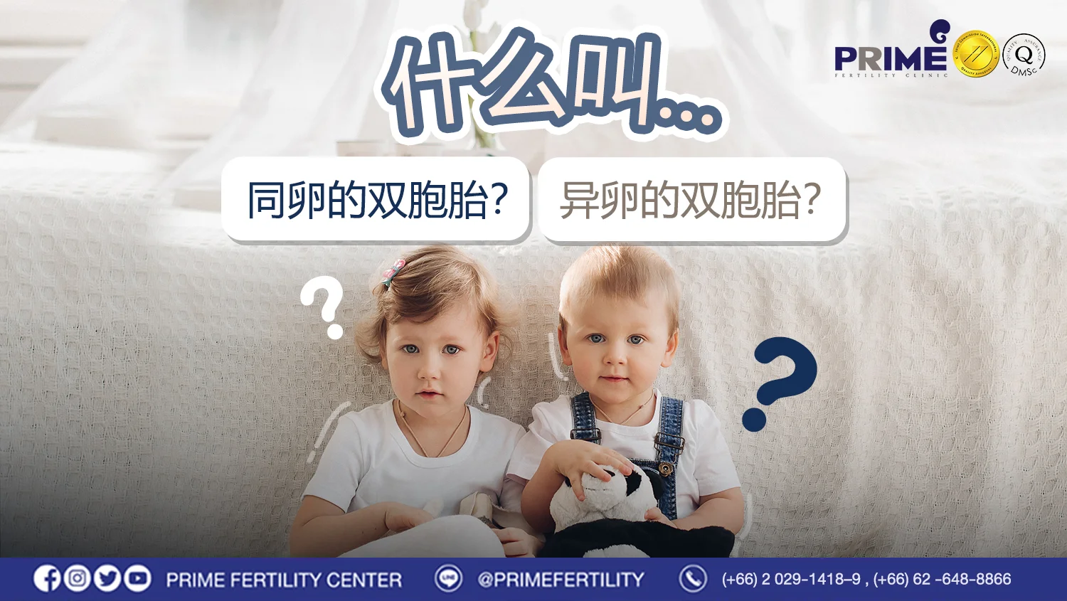 什么叫同卵双胞胎?异卵双胞胎? - แบบไหนเรียก. ฝาแฝดแท้ ฝาแฝดเทียม web แบบไหนเรียก. ฝาแฝดแท้ ฝาแฝดเทียม web