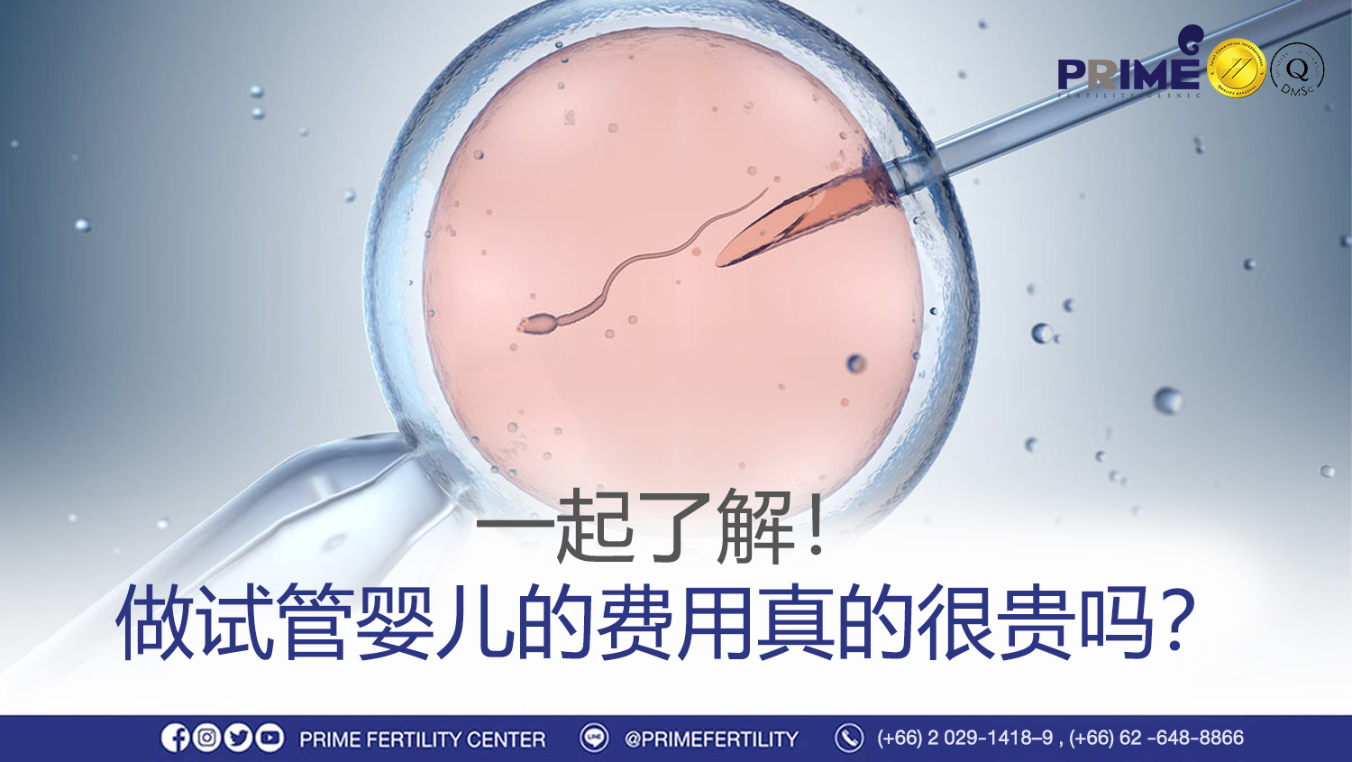 体外受精真的很贵吗?与自然怀孕的孩子有什么不同? - ไขข้อข้องใจ เด็กหลอดแก้ว ราคาแพงจริงหรือไม่ ไขข้อข้องใจ เด็กหลอดแก้ว ราคาแพงจริงหรือไม่
