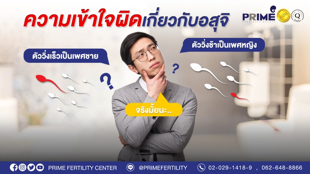 ความเข้าใจผิดเกี่ยวกับอสุจิ web