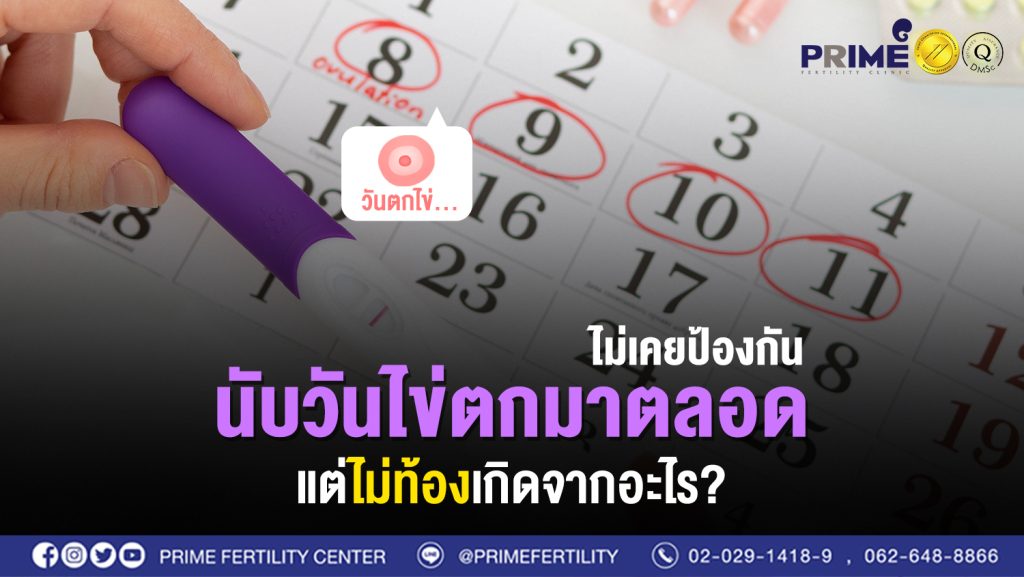 นับวันไข่ตกมาตลอดไม่เคยป้องกัน แต่ไม่ท้องเกิดจากอะไร web
